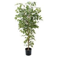 フェイクグリーン(高さ180cm ベンジャミンフィカス GLP)