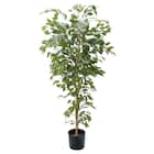 フェイクグリーン(高さ180cm ベンジャミンフィカス GLP-1290) 1枚目画像