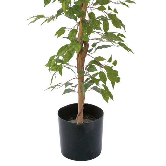 フェイクグリーン(高さ180cm ベンジャミンフィカス GLP-1290) 3枚目画像