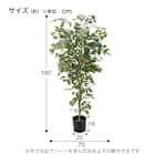 フェイクグリーン(高さ180cm ベンジャミンフィカス GLP-1290) 4枚目画像