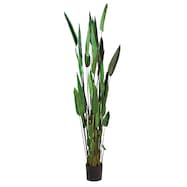 フェイクグリーン(高さ200cm カンナ GLP-1513)
