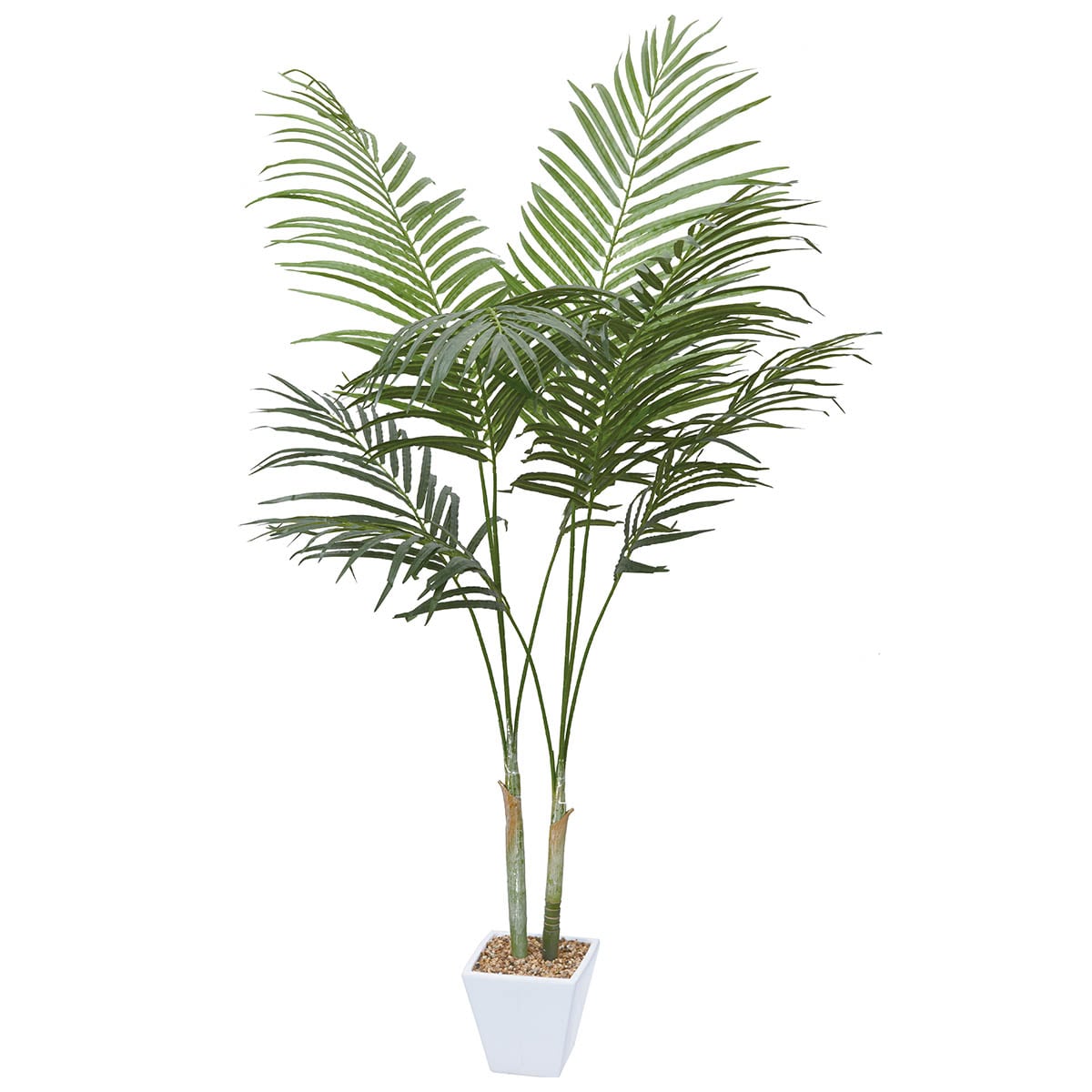 フェイクグリーン(高さ160cm アレカパーム GLA-1369) | ニトリネット