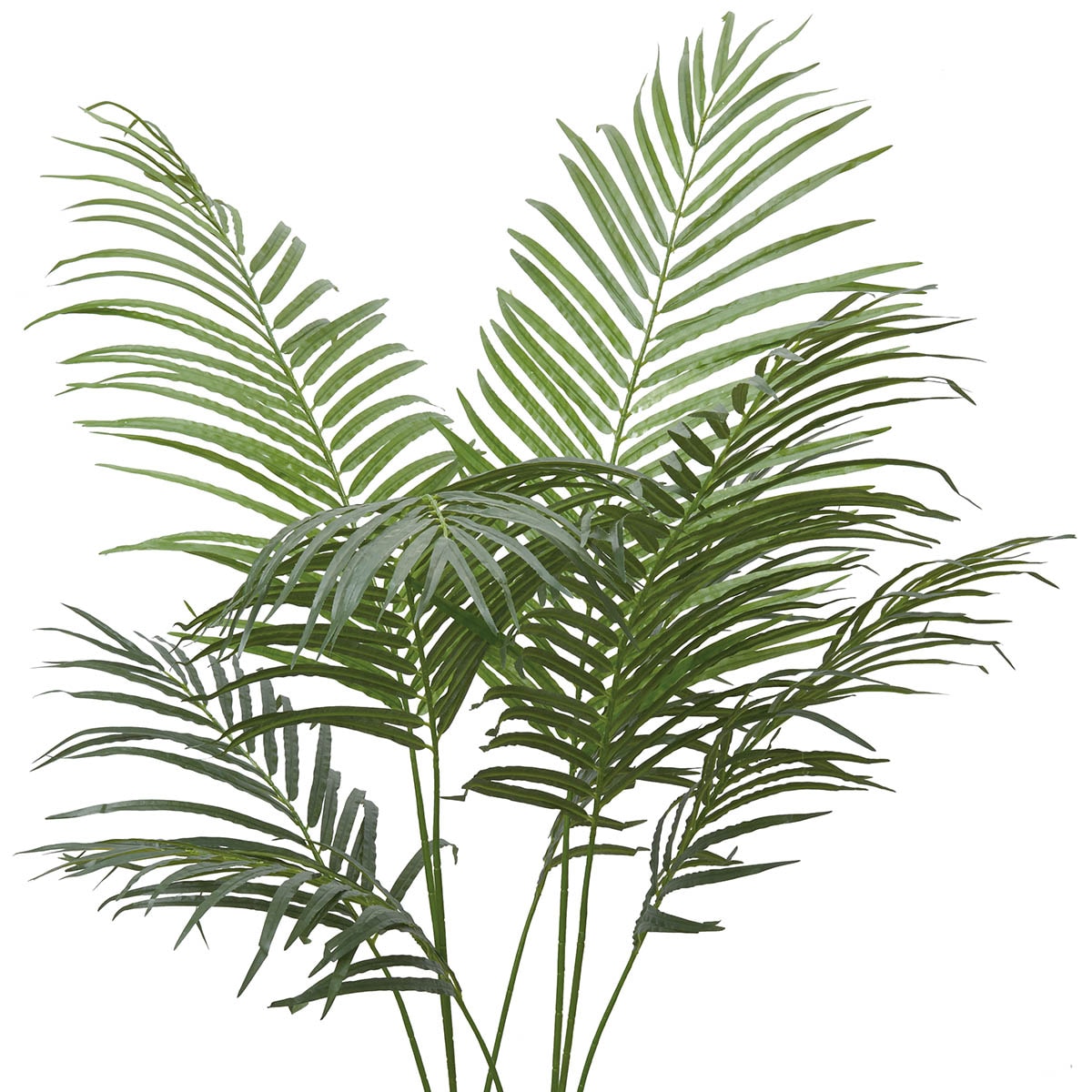 フェイクグリーン(高さ160cm アレカパーム GLA-1369) | ニトリネット