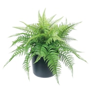 フェイクグリーン(高さ48cm ファーンポット GLA-1517)