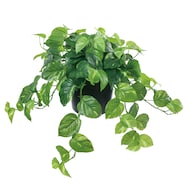 フェイクグリーン(高さ37cm ポトスポット GLA-1518)