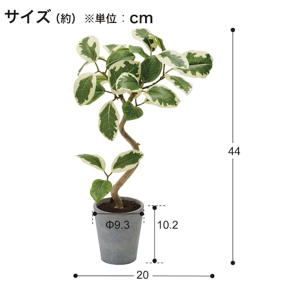 スライダー画像