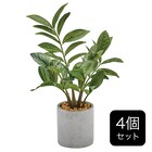 フェイクグリーン 4個セット(高さ25cm ザミフォリア GLA-1520) 1枚目画像