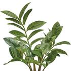 フェイクグリーン 4個セット(高さ25cm ザミフォリア GLA-1520) 3枚目画像