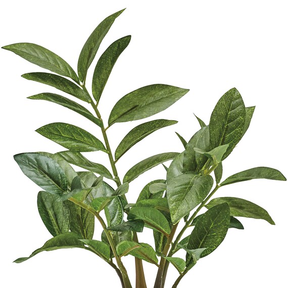 フェイクグリーン 4個セット(高さ25cm ザミフォリア GLA-1520) 3枚目画像