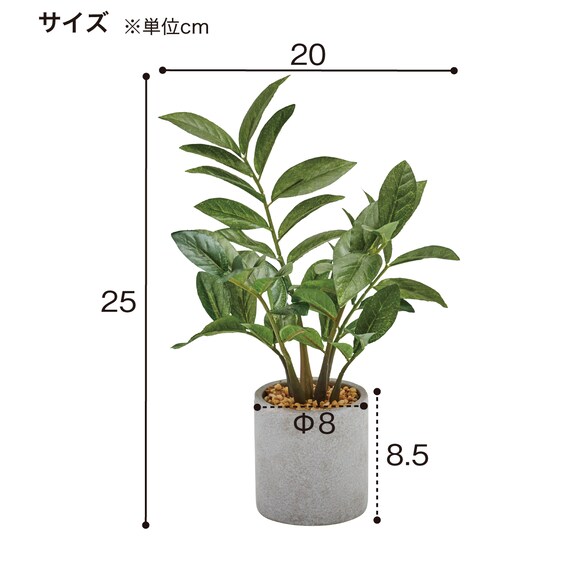 フェイクグリーン 4個セット(高さ25cm ザミフォリア GLA-1520) 5枚目画像
