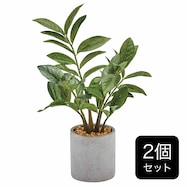 【セット販売】フェイクグリーン(高さ25cm ザミフォリア GLA-1520)