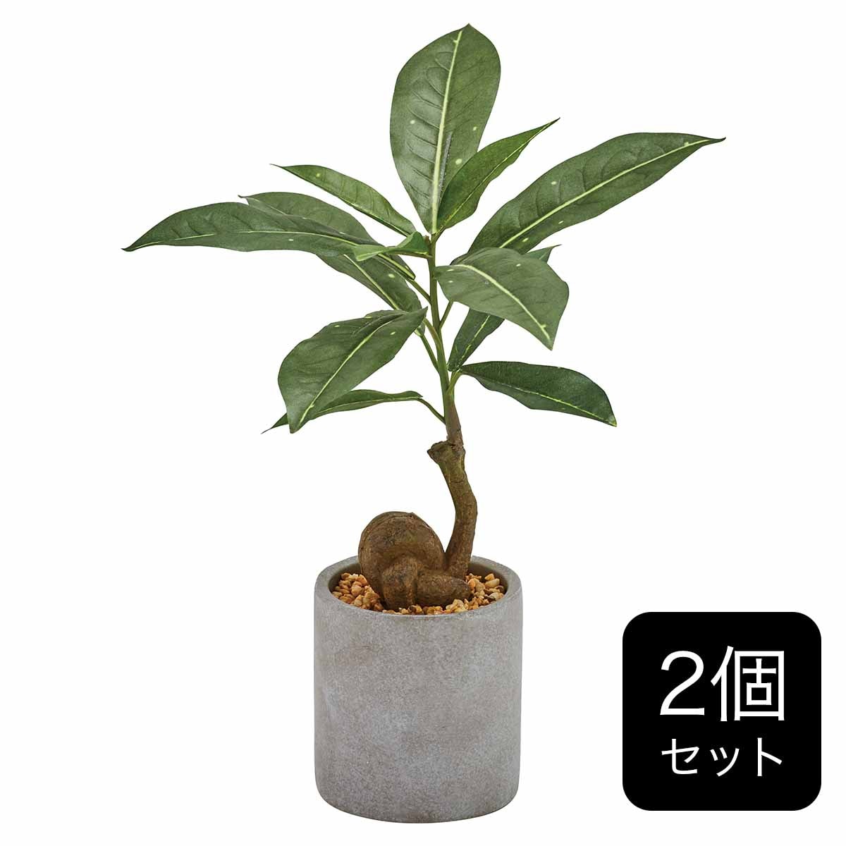 フェイクグリーン 2個セット(高さ29cm コーヒーの木 GLA-1521