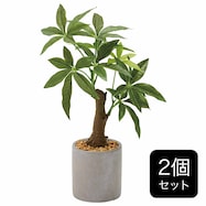 【セット販売】フェイクグリーン(高さ32cm パキラ GLA-1522)