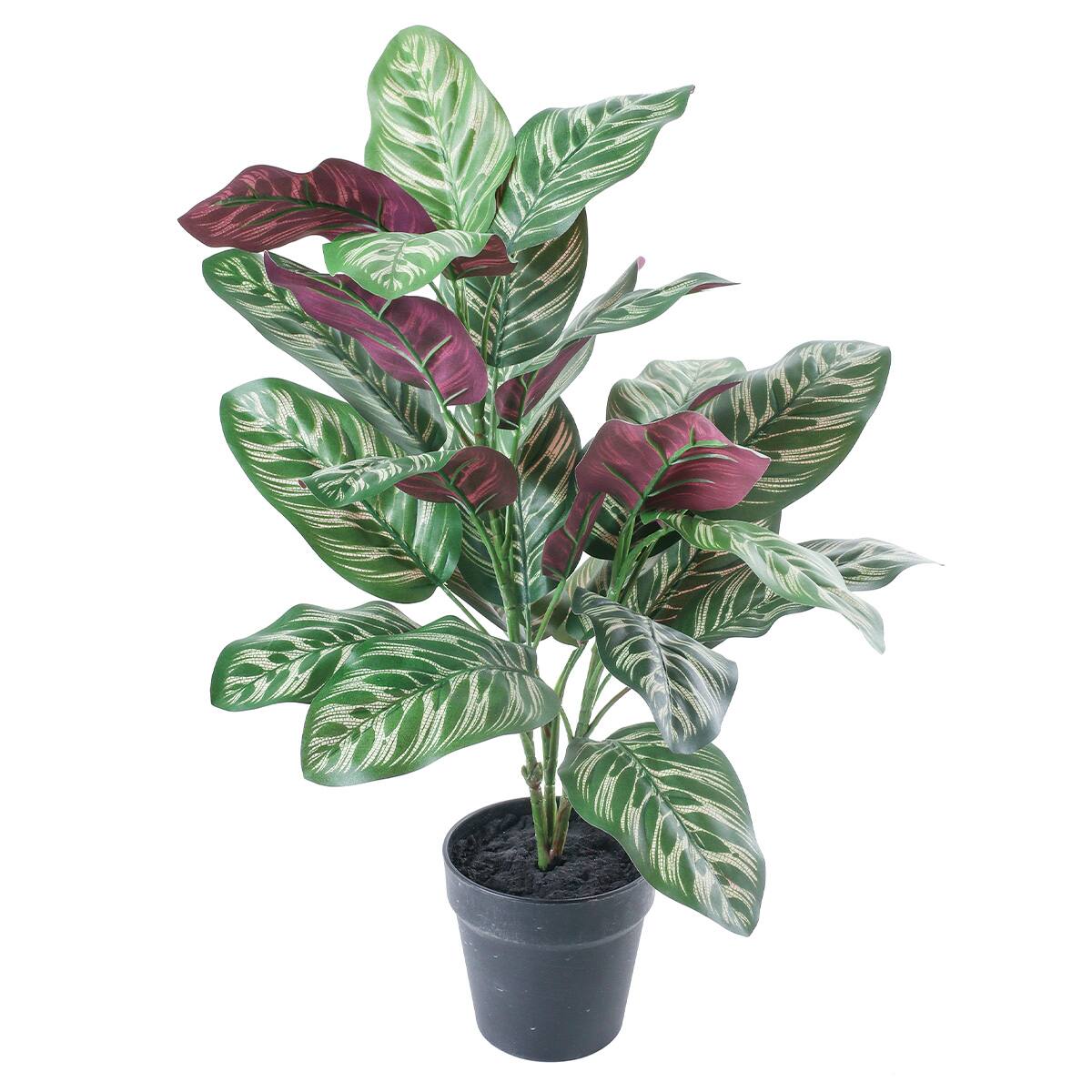 フェイクグリーン(高さ60cm カラテアポット GLA-1543) | ニトリネット