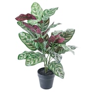 フェイクグリーン(高さ60cm カラテアポット GLA-1543)