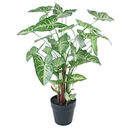 フェイクグリーン(高さ75cm シンゴニウム GLA-1542)