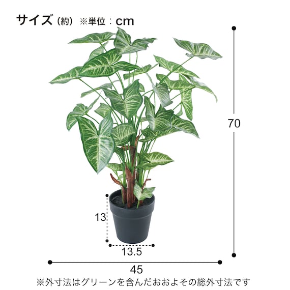 スライダー画像