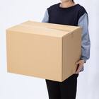 ダンボール Lサイズ 50枚セット 3枚目画像