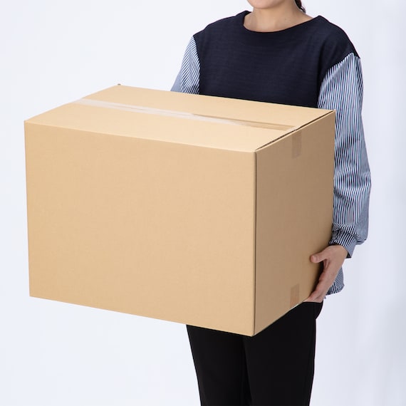 ダンボール Lサイズ 10枚セット 3枚目画像