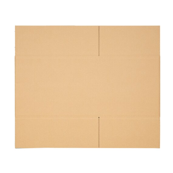 ダンボール Lサイズ 10枚セット 5枚目画像