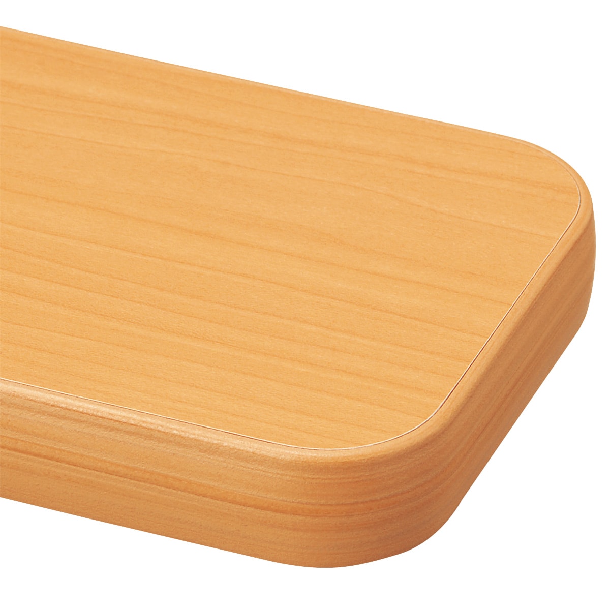 ナガエプリュス　テーブルマット　2枚セット　未使用 FPマット(Nコレクション T-05 165専用) | ニトリネット【公式】 家具