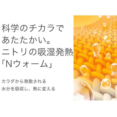 Nウォームあったかボートネックカットソー (60033) 7枚目画像