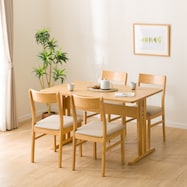 ダイニングテーブル5点セット(TLEG SI01 G/SI01A)