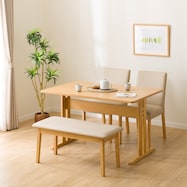 ダイニングテーブル4点セット(TLEG SI01 G/SI01B/ベンチSI01)