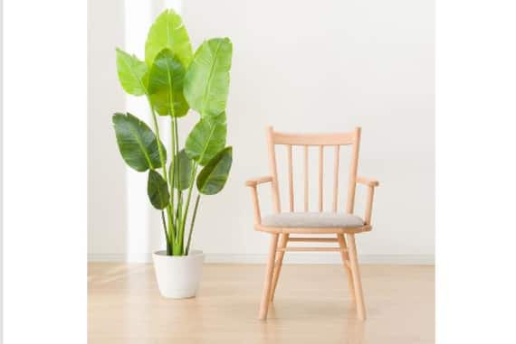 DCNコレクションC-41ヒジNA/DR-BE 8枚目画像