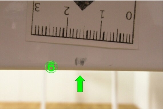 スライダー画像