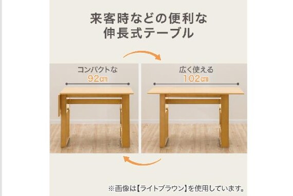 DT ロピア2 WH/DBR 2枚目画像