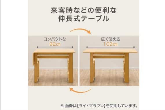 DT ロピア2 WH/MBR 2枚目画像