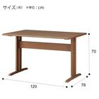 ダイニングテーブル4点セット(TLEG SI01 S 120/SI01A/ベンチSI01 MBR) 27枚目画像