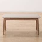 ダイニングテーブル4点セット(TLEG SI01 S 120/回転式SI01B/ベンチSI01 MBR) 22枚目画像