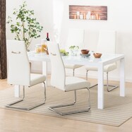 伸長式ダイニングテーブル5点セット(DT160/200 ES01/DC Nシールド ロフト2H)