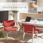 【旧モデル】リビングダイニング1人用チェア(リラックスワイドNシールド布 GY/TBL) 2枚目画像