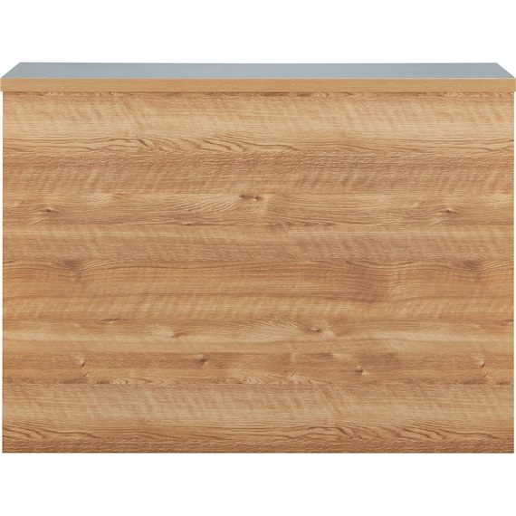 ステンレスカウンター(DM02K 119 LBR) 5枚目画像