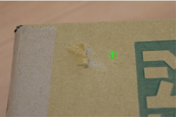 FPﾏｯﾄ ｶﾃﾞｨﾗ2 120 5枚目画像