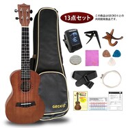ウクレレ 23インチコンサート スターターセット(U23M BR)