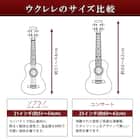ウクレレ 23インチコンサート スターターセット(U23M BR) 2枚目画像