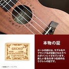 ウクレレ 23インチコンサート スターターセット(GU9 BR) 8枚目画像
