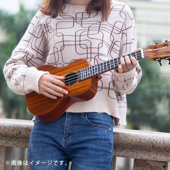 ウクレレ 23インチコンサート スターターセット(GU9 BR) 12枚目画像