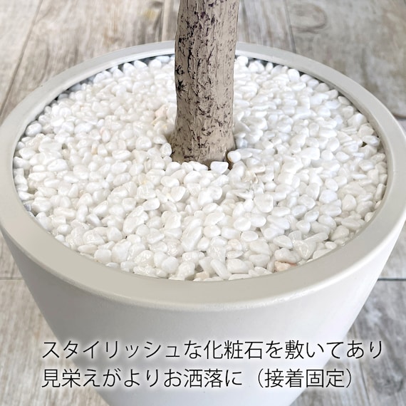 フェイクグリーン(オリーブ 120cm グレー) 6枚目画像