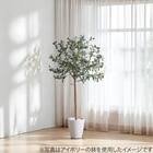 フェイクグリーン(オリーブ 120cm グレー) 7枚目画像