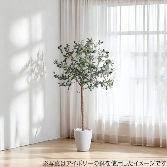 フェイクグリーン(オリーブ 120cm グレー) 7枚目画像
