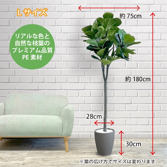 フェイクグリーン(フィカスリラータ 180cm グレー) 4枚目画像