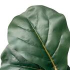 フェイクグリーン(フィカスリラータ 180cm グレー) 8枚目画像