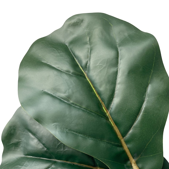 フェイクグリーン(フィカスリラータ 180cm グレー) 8枚目画像