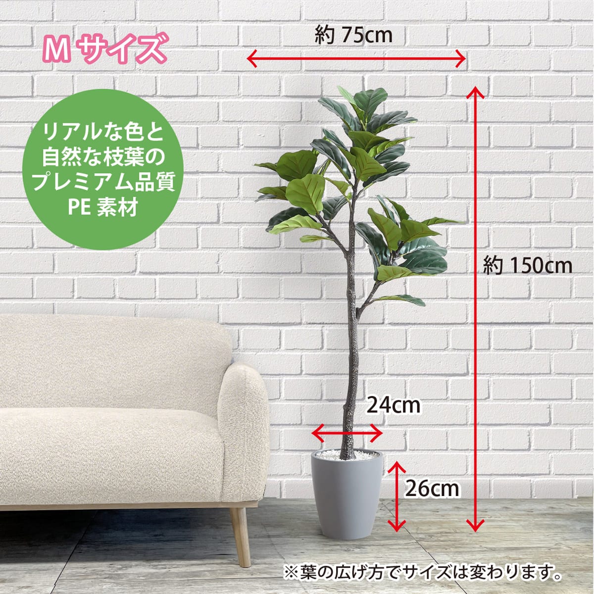 フェイクグリーン(フィカスリラータ 150cm アイボリー) | ニトリネット