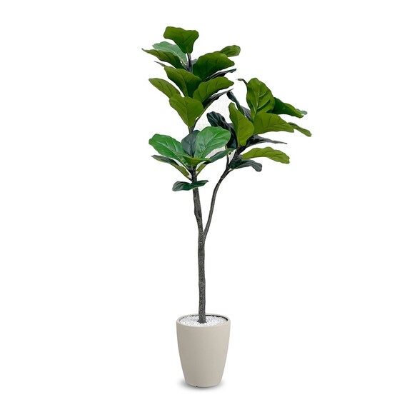 フェイクグリーン(フィカスリラータ 120cm アイボリー) 1枚目画像